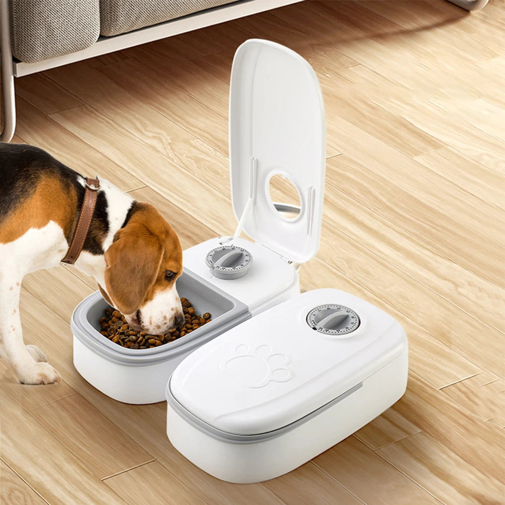 Pet Automatic Timing Feeder Bowls
