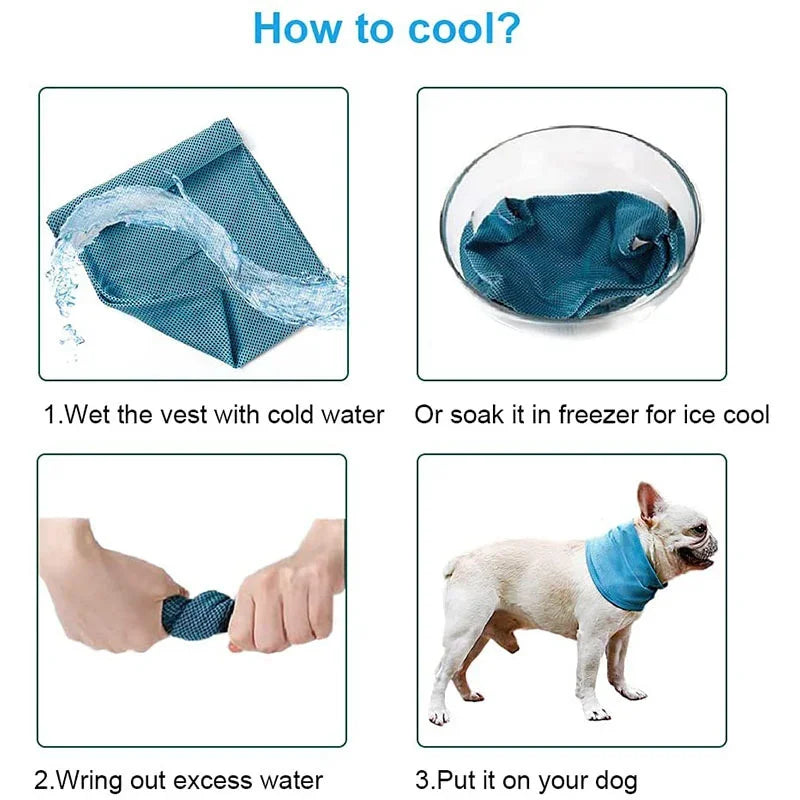 Summer Cooling Bandana for Dogs