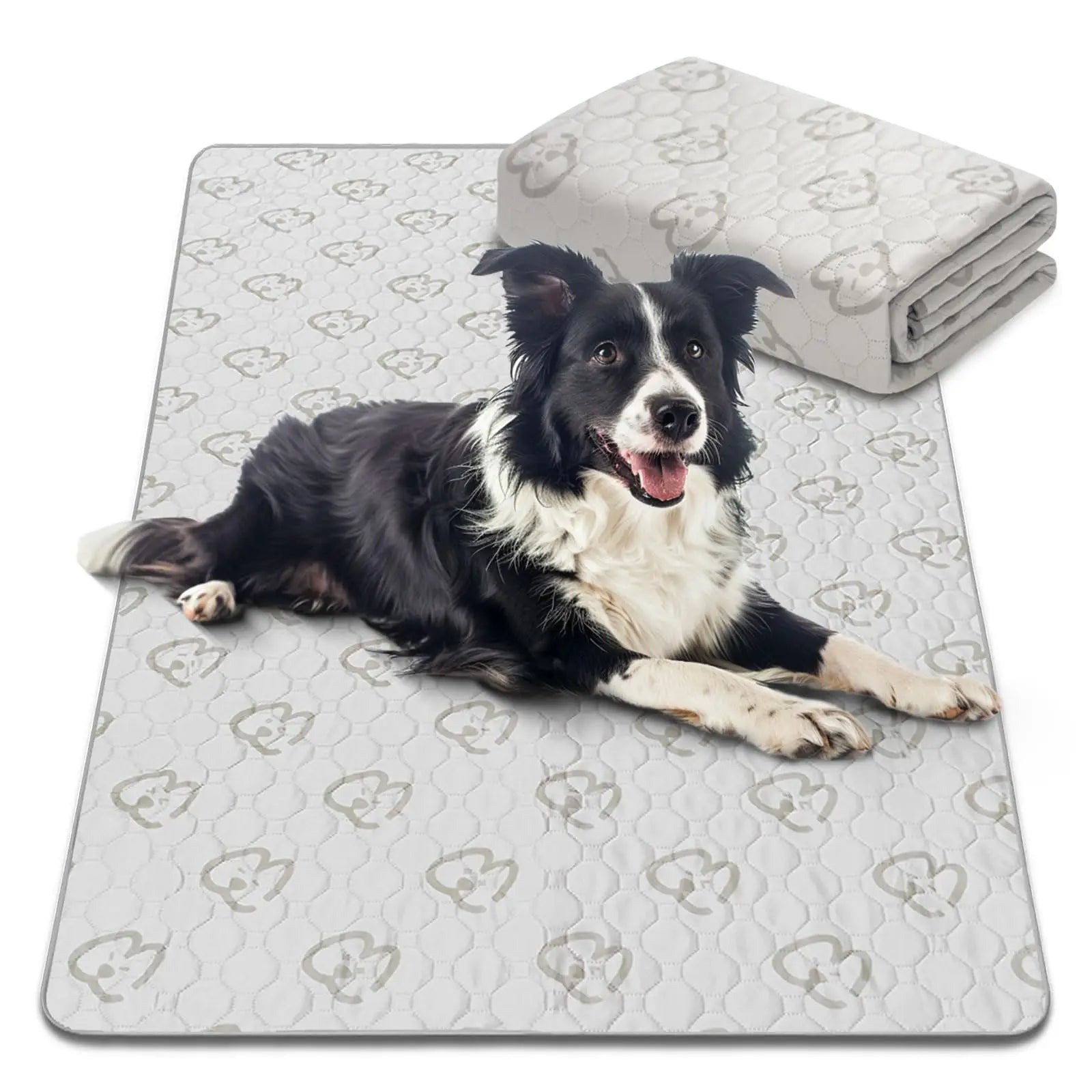 Washable Pee Pads for Dogs