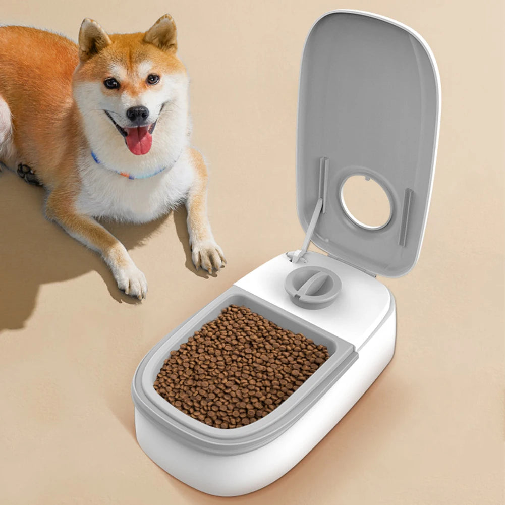 Pet Automatic Timing Feeder Bowls