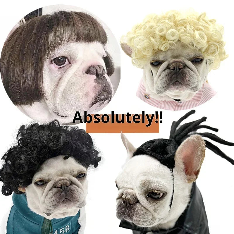 Dog Wigs
