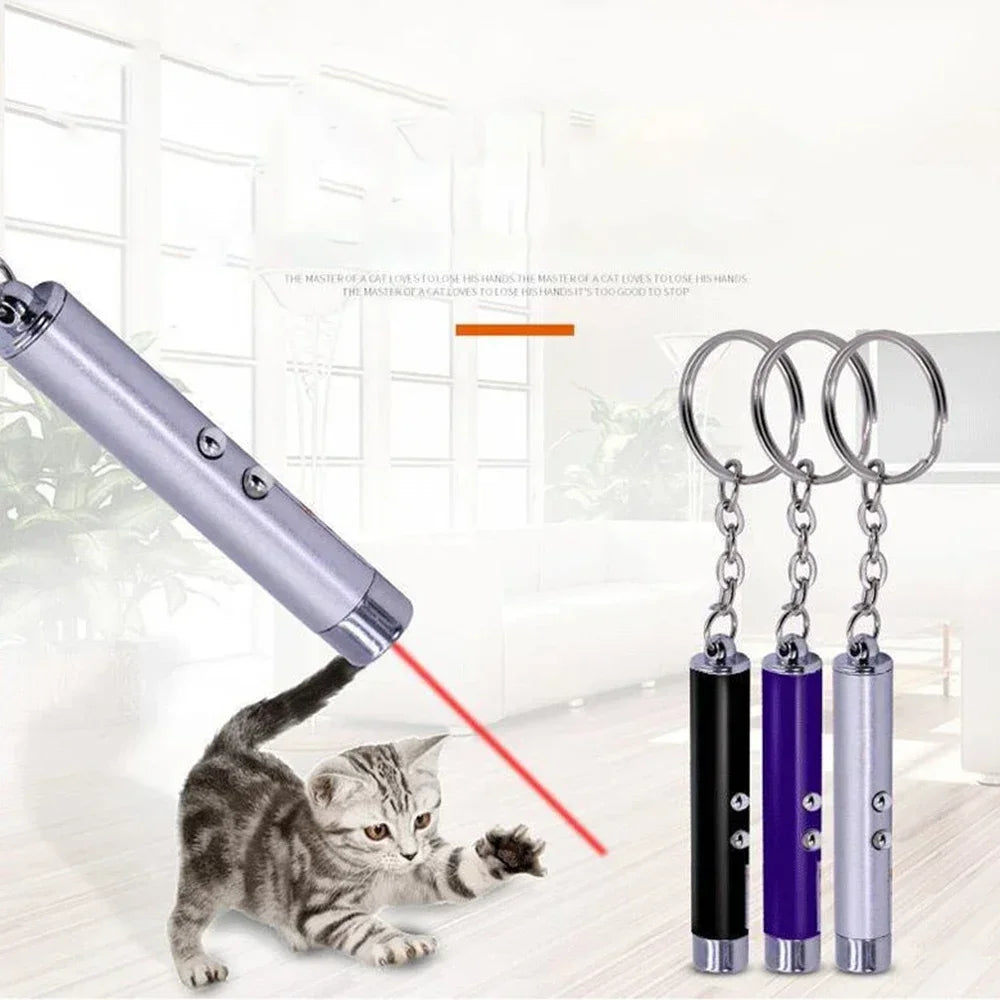 Laser Pointer Interactive Toy