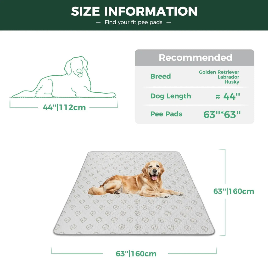 Washable Pee Pads for Dogs