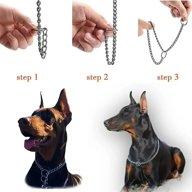 Stainless Steel Slip Chain Collar