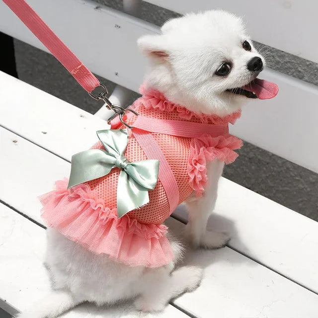 Pet Dress Harness Leash Set