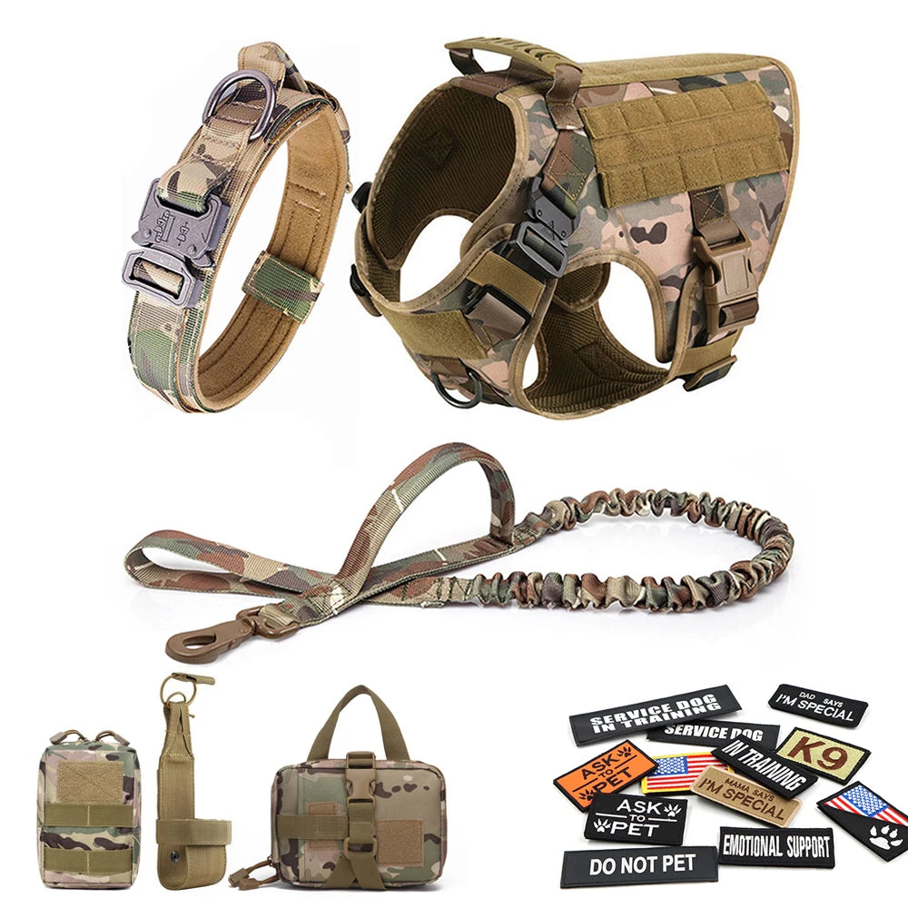Large Dog Harness and Collar