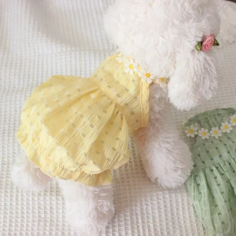 Daisy Dress Pet Clothing