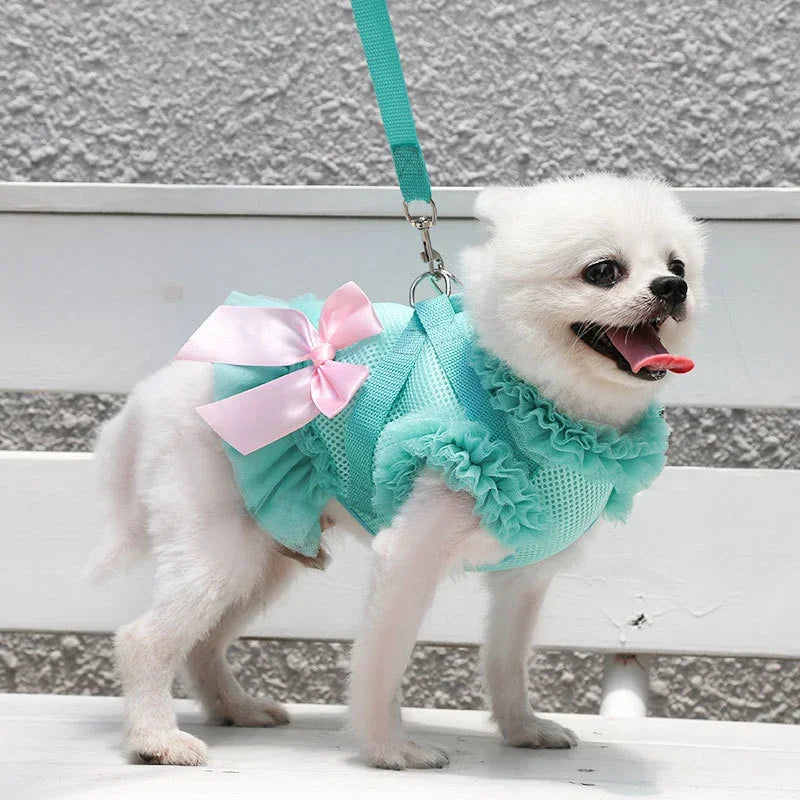 Pet Dress Harness Leash Set
