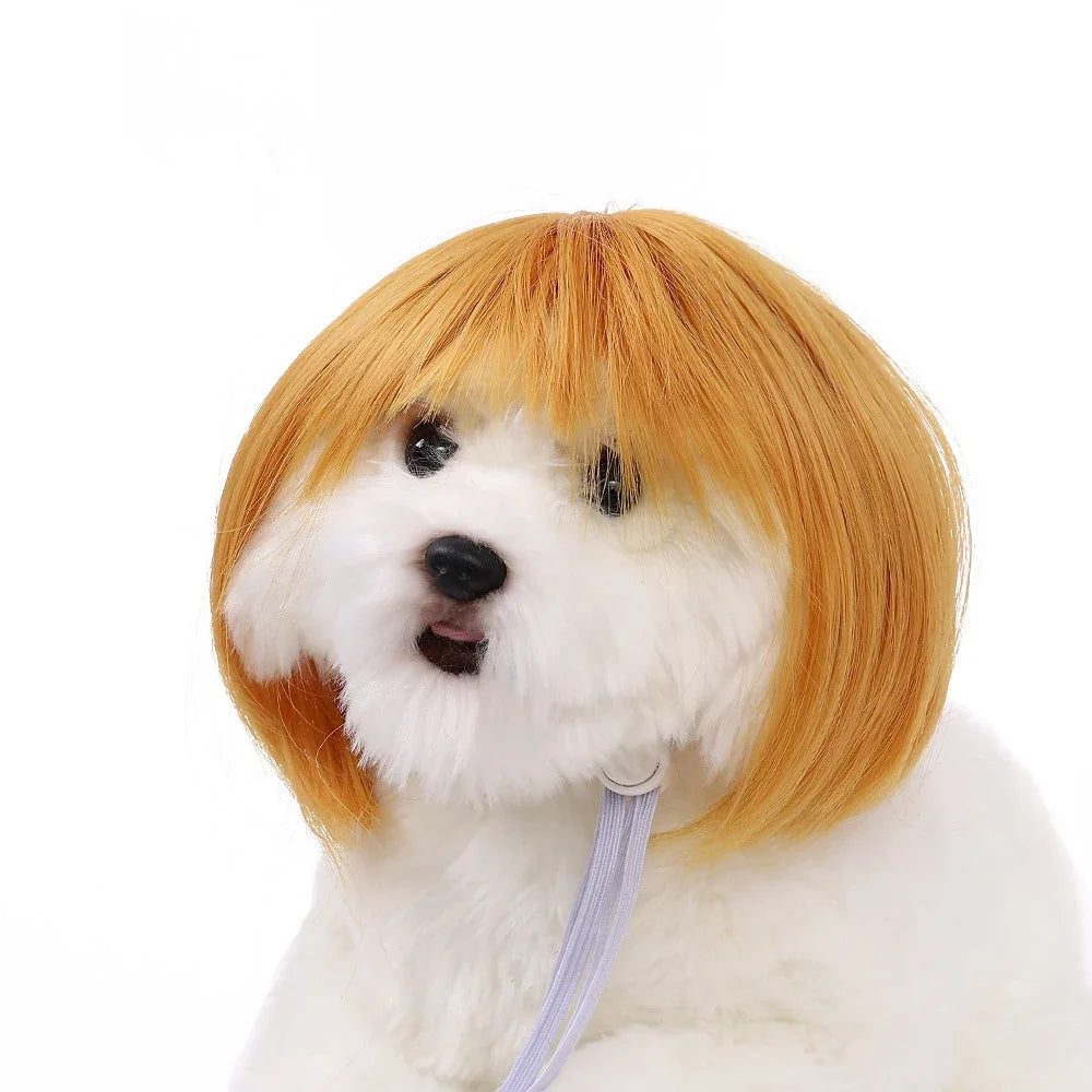 Dog Wigs