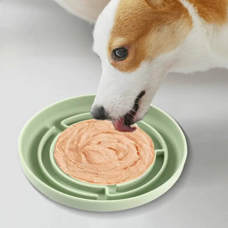 Slow Feeder Dog Bowls