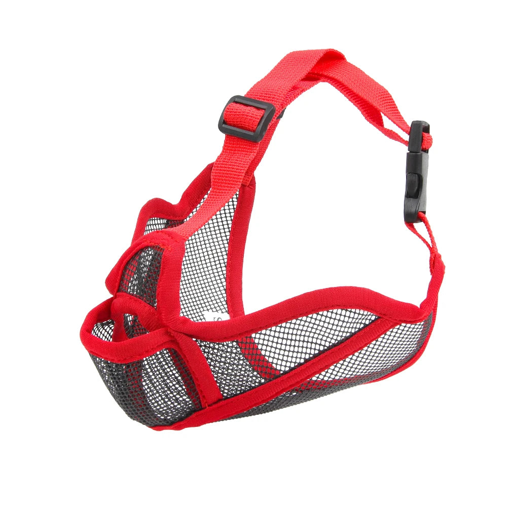 Short-Snouted Dog Muzzle