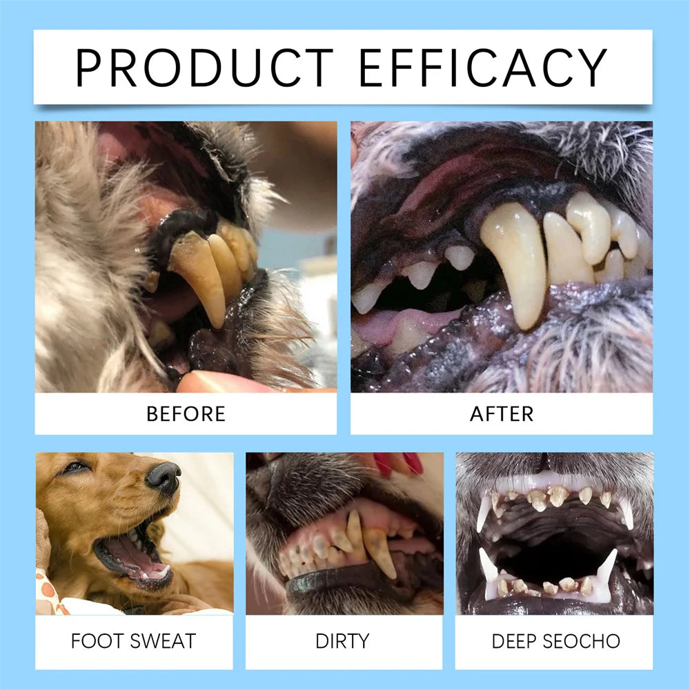 Pet Teeth Cleaning Tools