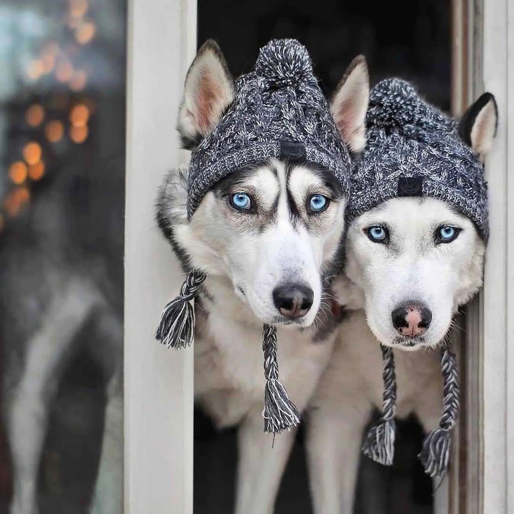 Warm Winter Dog Hats