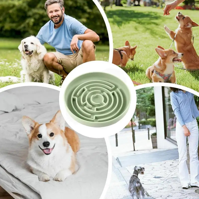 Slow Feeder Dog Bowls