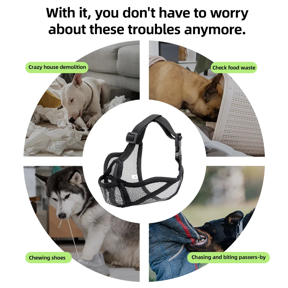Short-Snouted Dog Muzzle