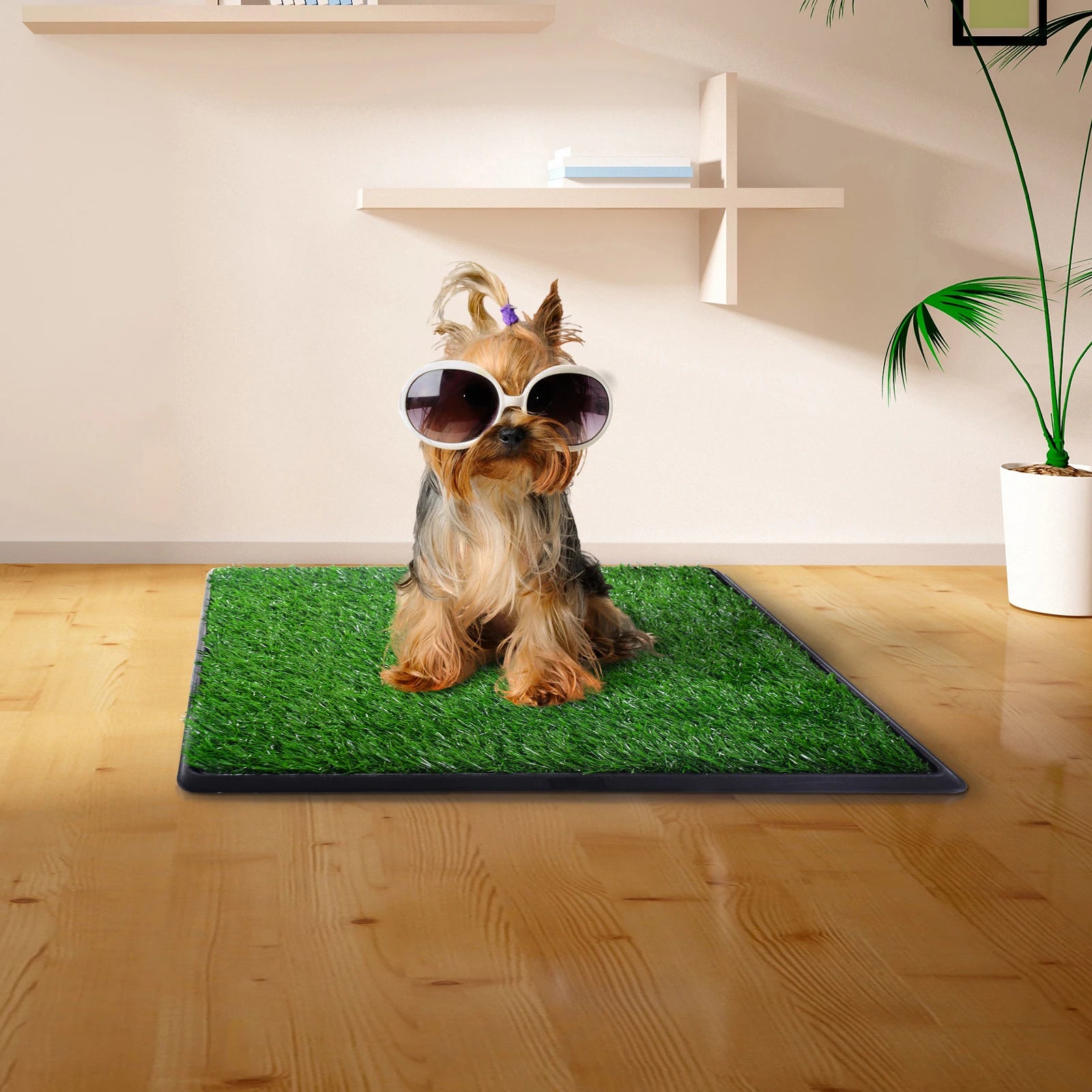 Dog potty artificial turf