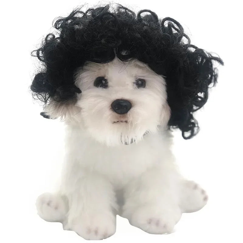 Dog Wigs