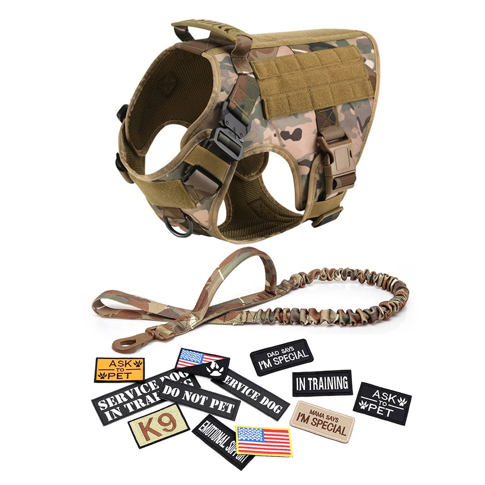 Large Dog Harness and Collar