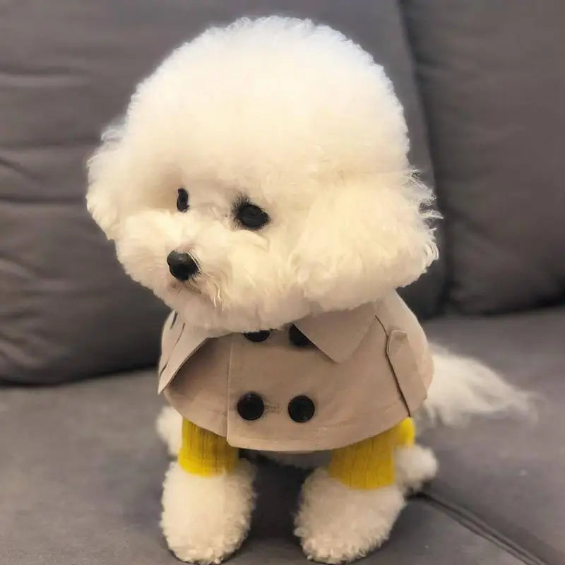 Fashion British Style Dog Cloak