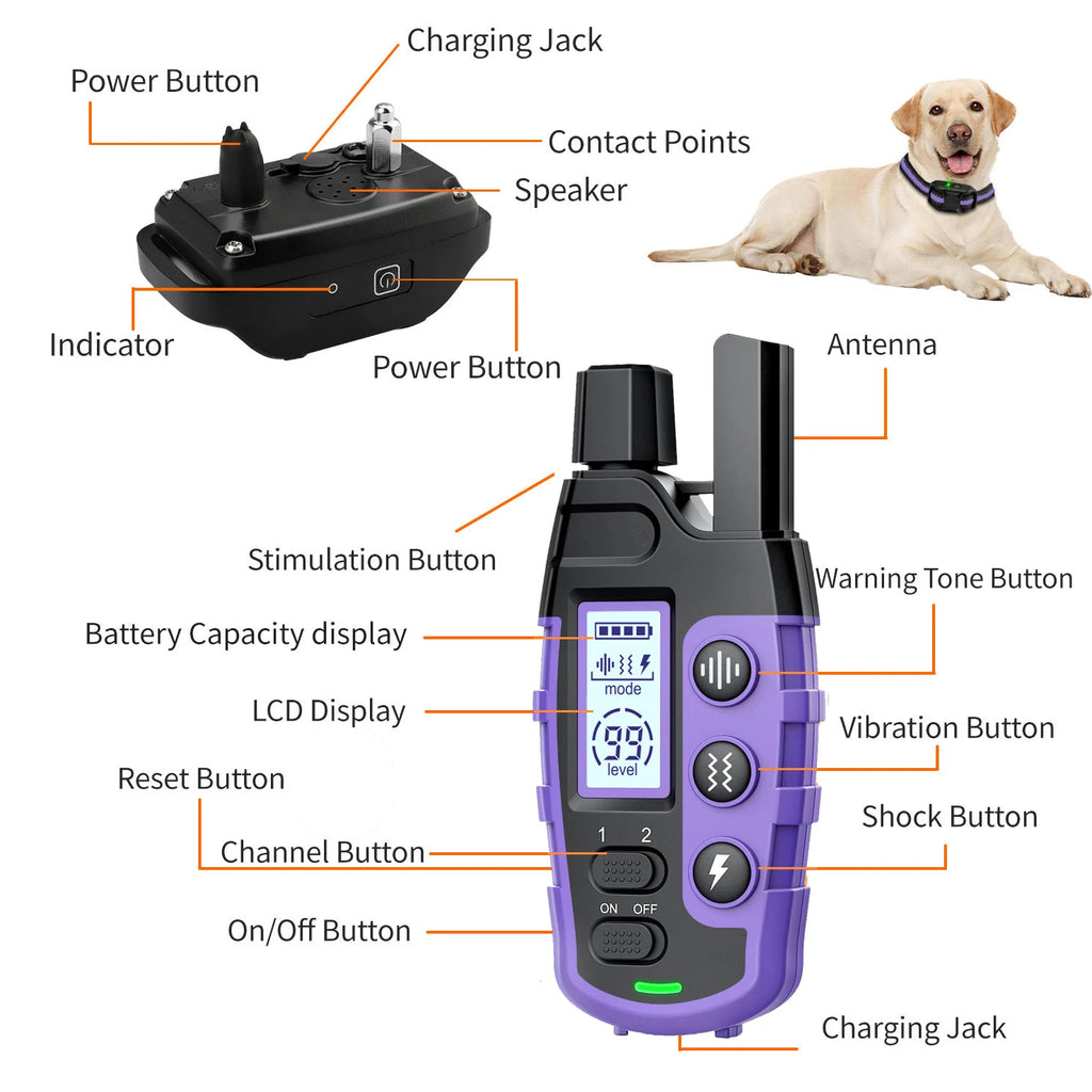 Electric Dog Training Collar
