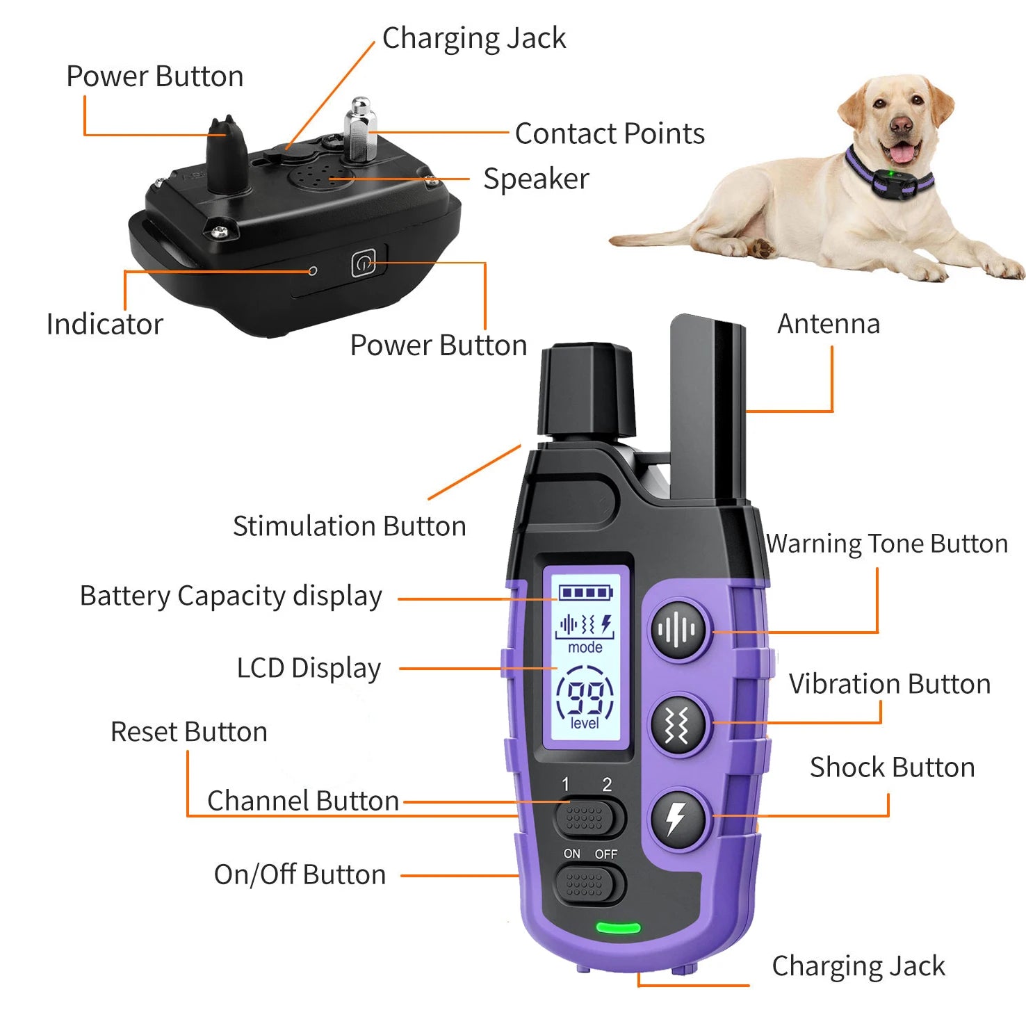Electric Dog Training Collar