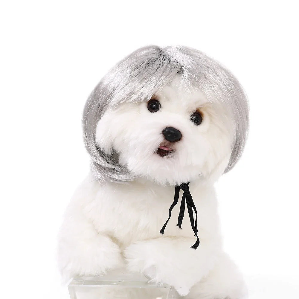 Dog Wigs