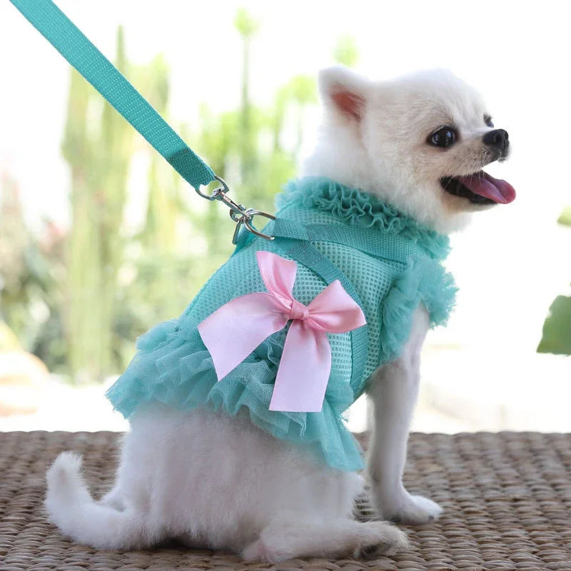 Pet Dress Harness Leash Set