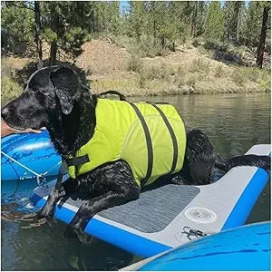 Dog Water Ramp