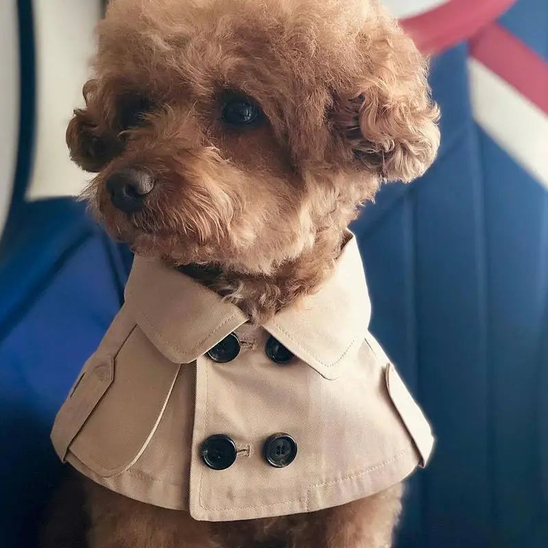 Fashion British Style Dog Cloak