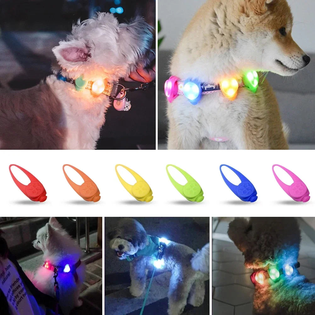 Pet Led Silicone Pendant