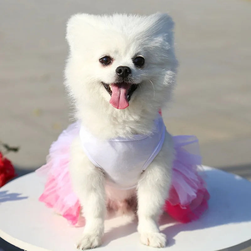 Dog Princess Dress for Small Dogs