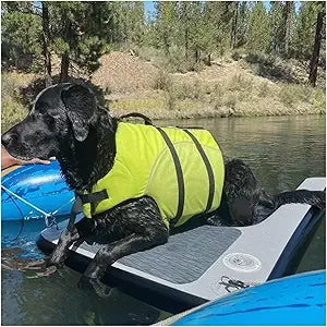 Dog Water Ramp