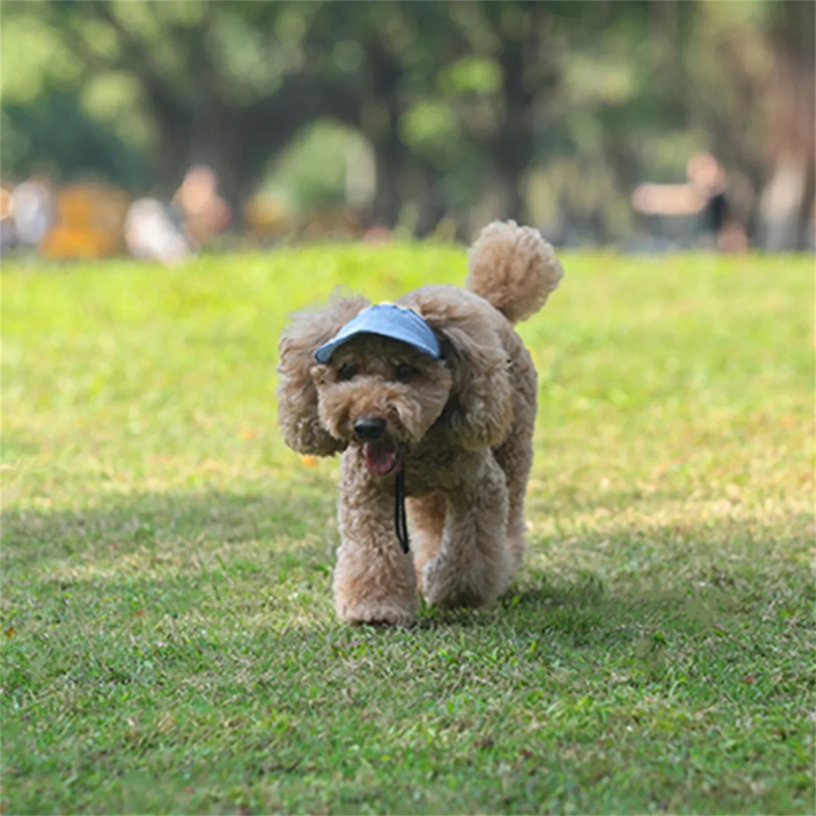 Adjustable Pet Baseball Hat