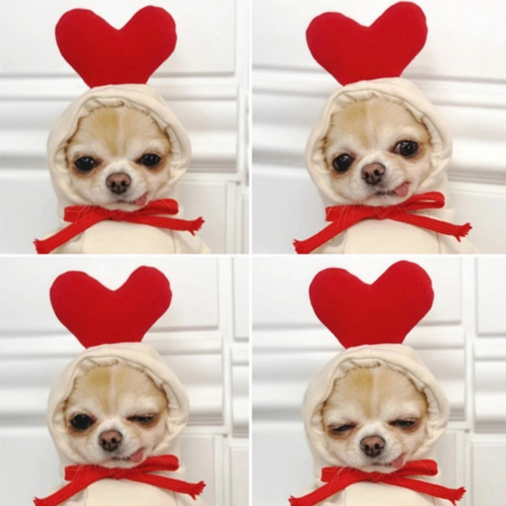 Plush Coat Hoodies For Puppy Cat