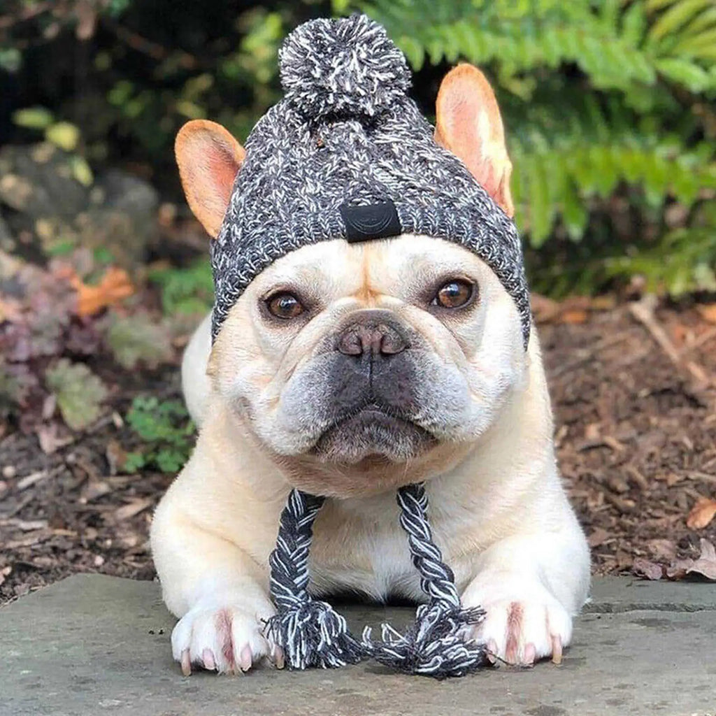 Warm Winter Dog Hats