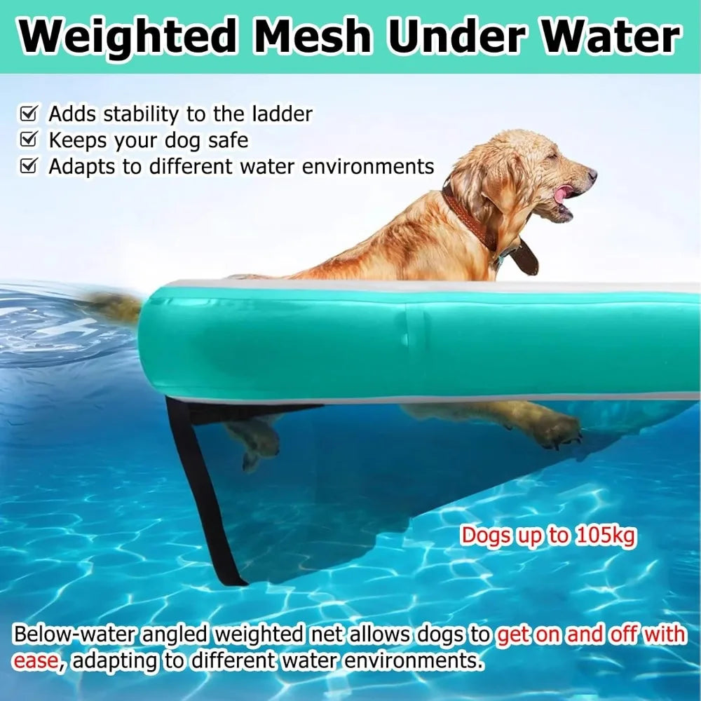 Dog Water Ramp