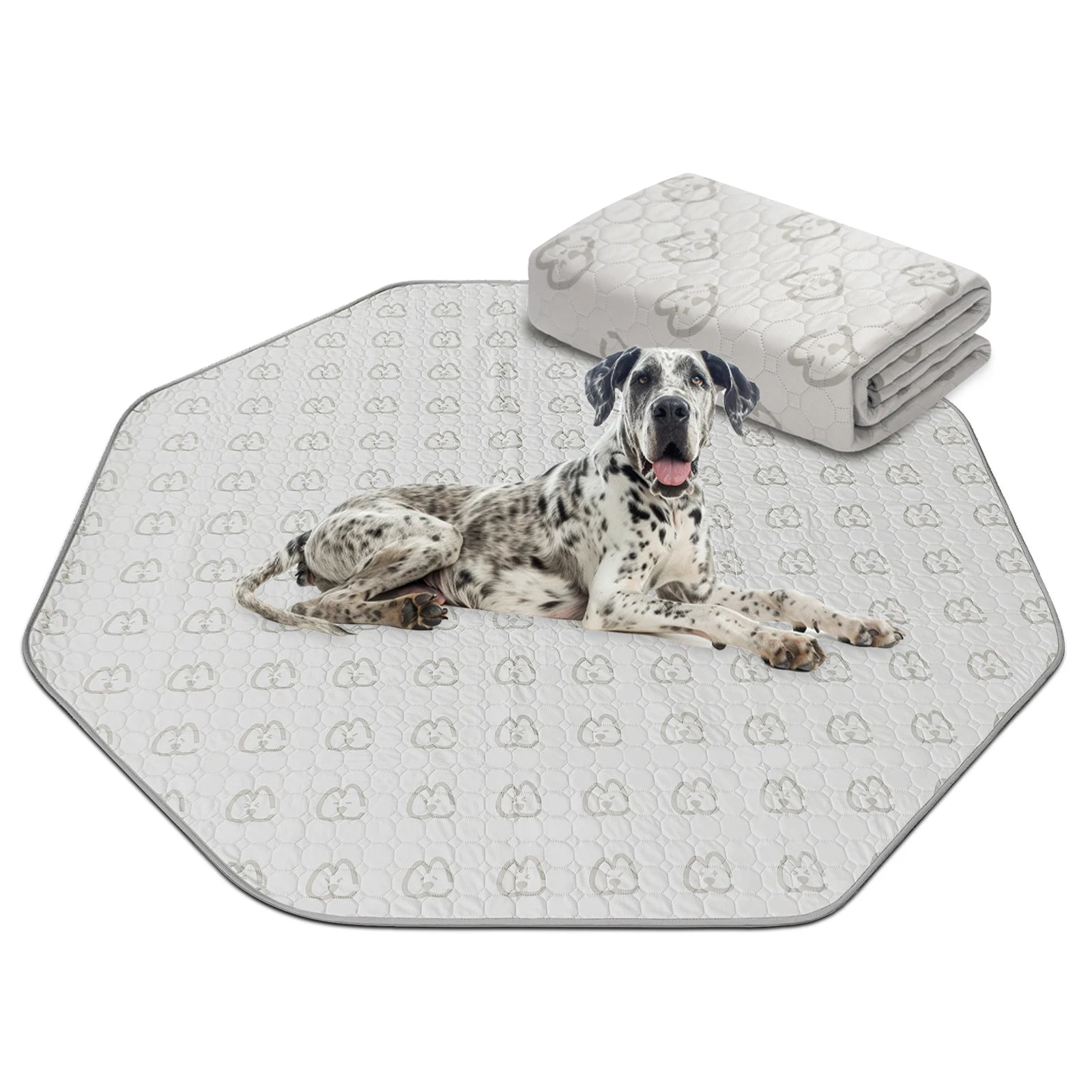 Washable Pee Pads for Dogs