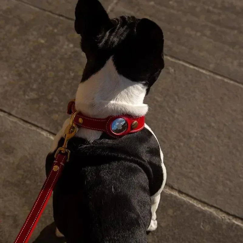 Genuine Leather Airtags Collar