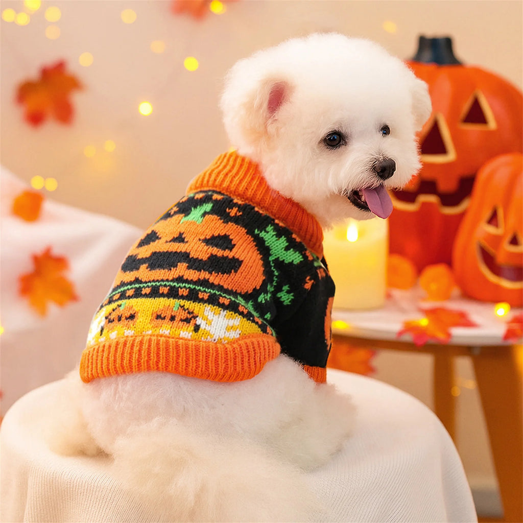 Pumpkin Knitted Sweater