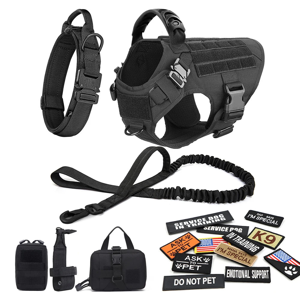 Large Dog Harness and Collar