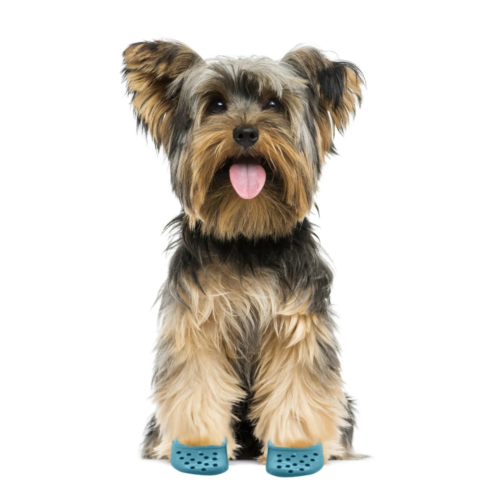 Pet Decorative Shoes