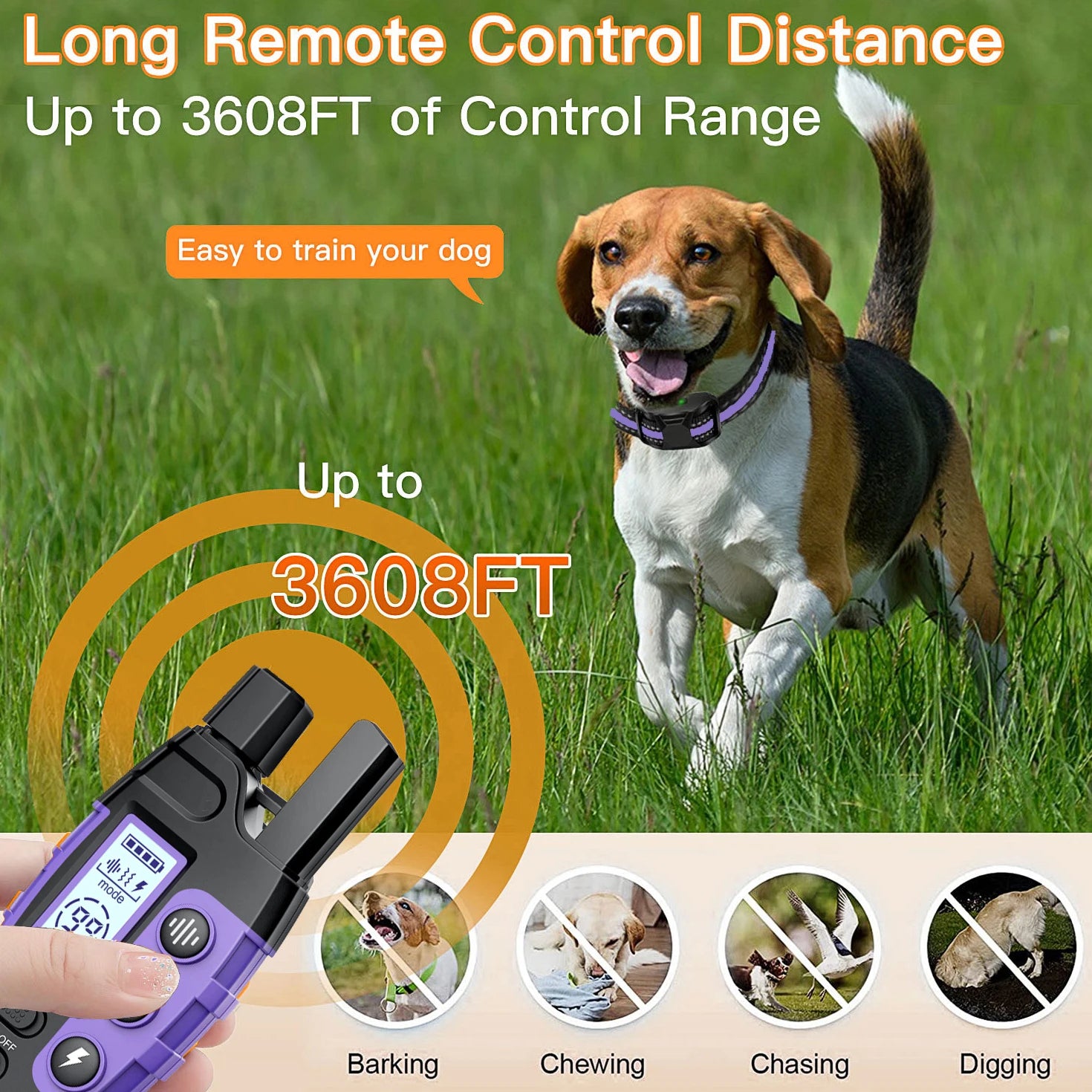 Electric Dog Training Collar