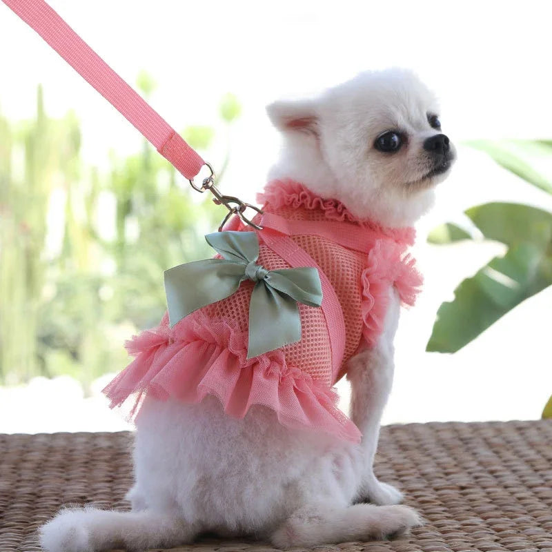 Pet Dress Harness Leash Set