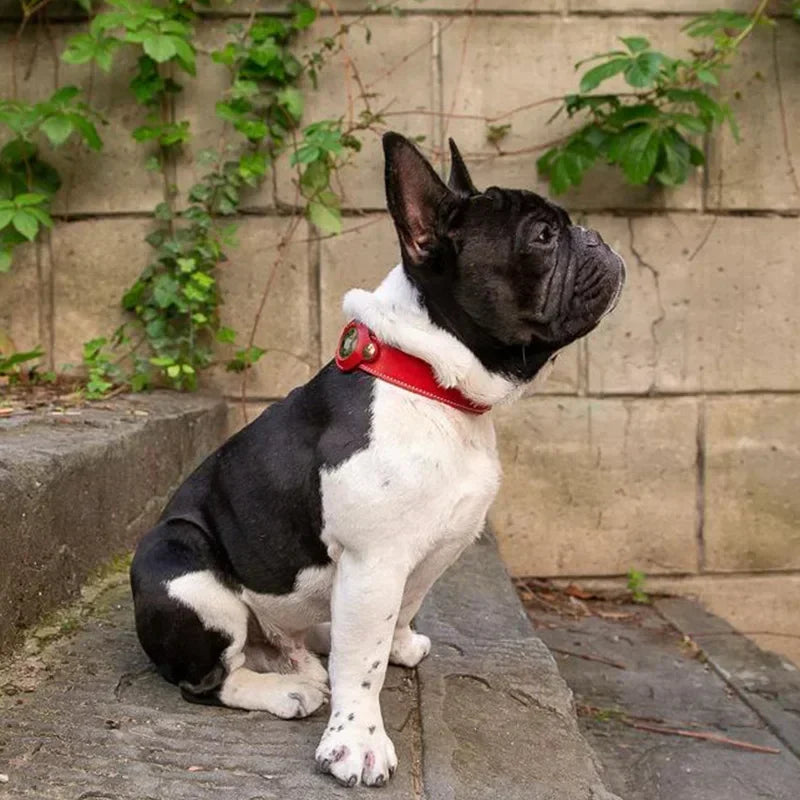Genuine Leather Airtags Collar