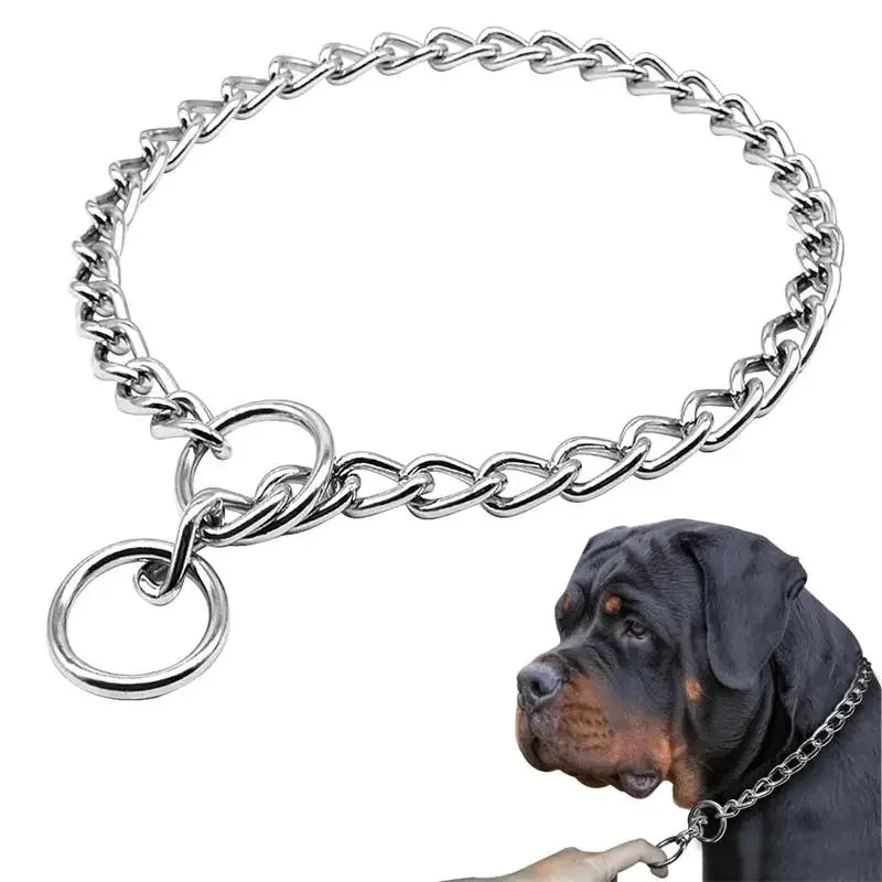 Stainless Steel Slip Chain Collar