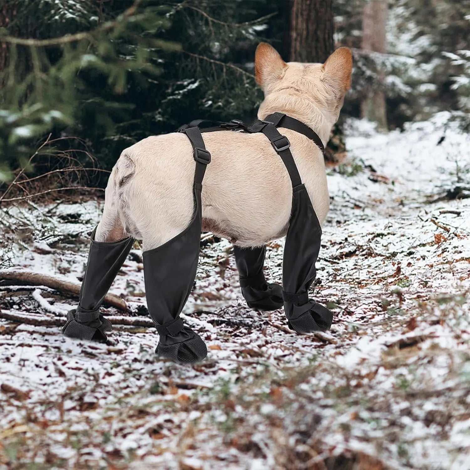 Outdoor Walking Dog Boots