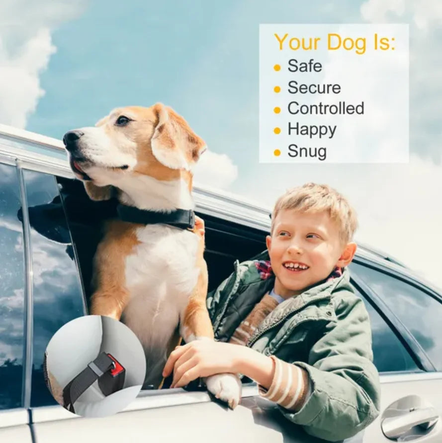 Pet Seat Belt Adjustable Harness