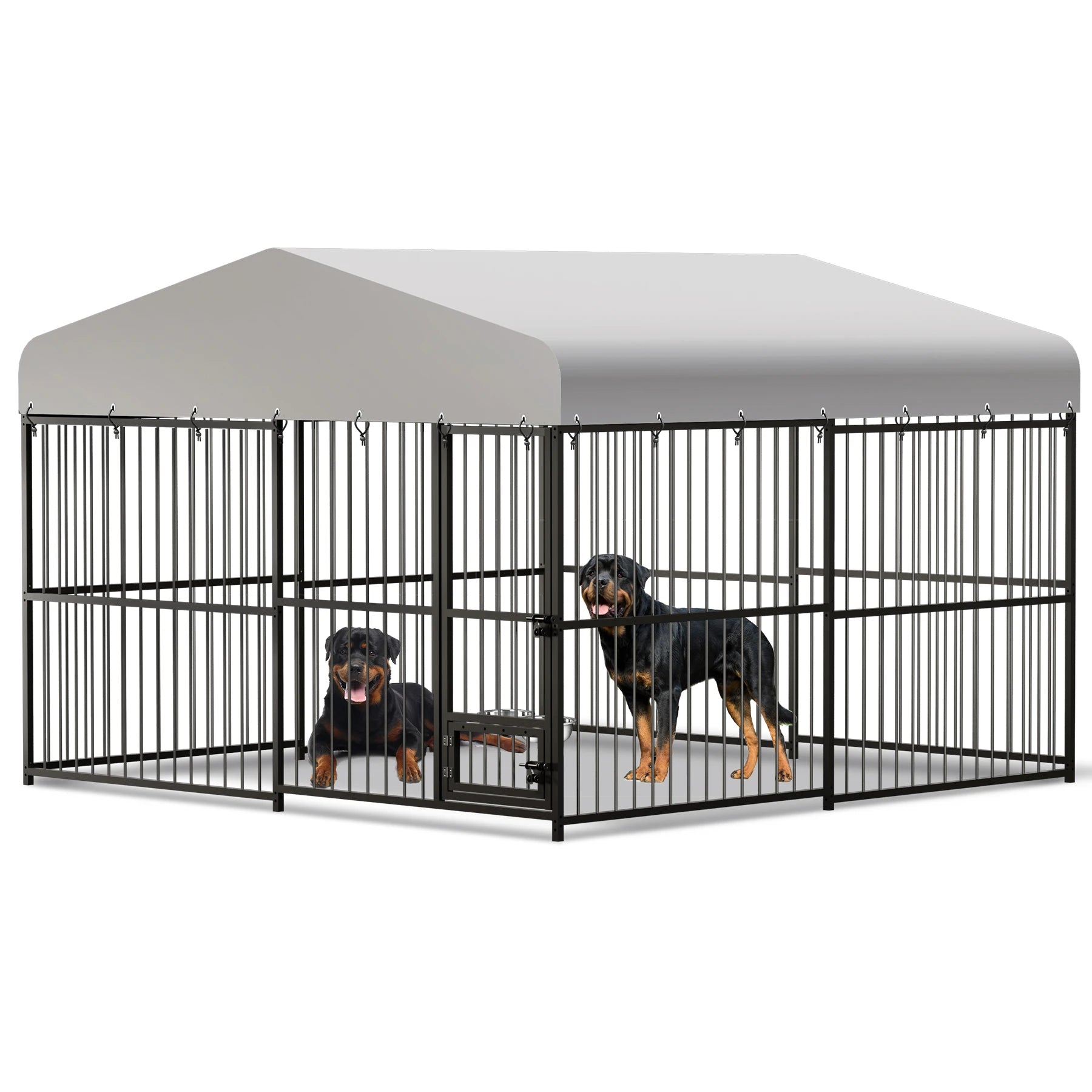 Outdoor Dog Kennel with Safety Locks & Cover