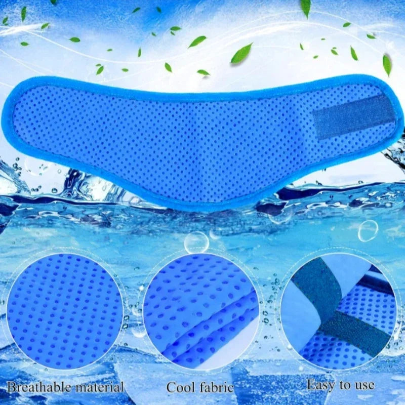 Summer Pet Cooling Collar