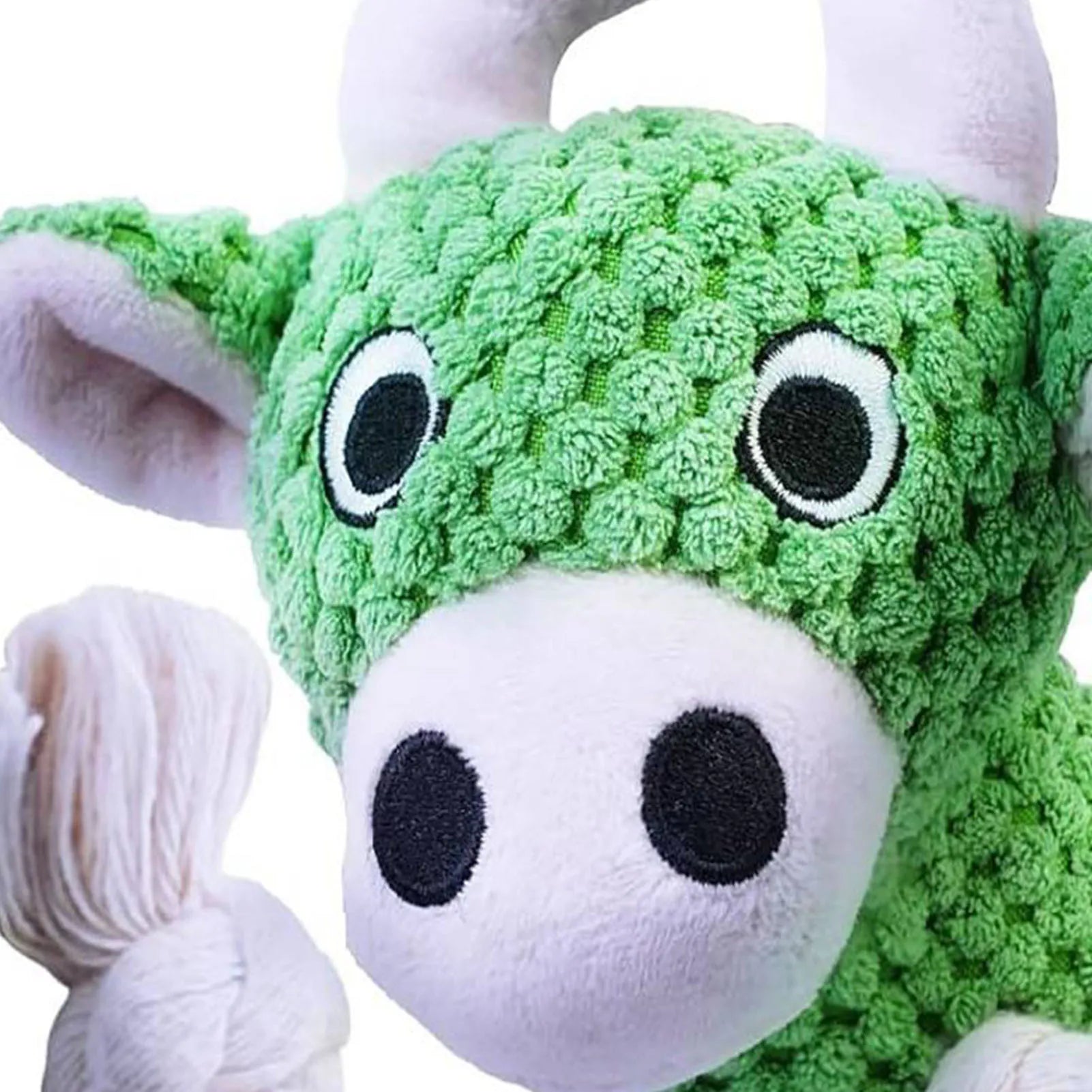 Squeaky Dog Chew Toy